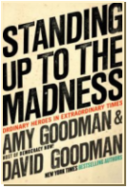 Standing Up To the Madness ~ book cover
